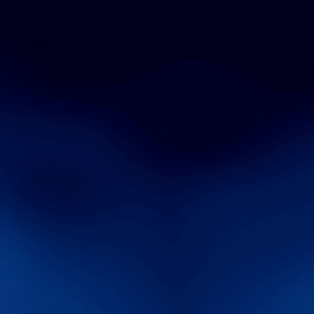 All-in-Site animation